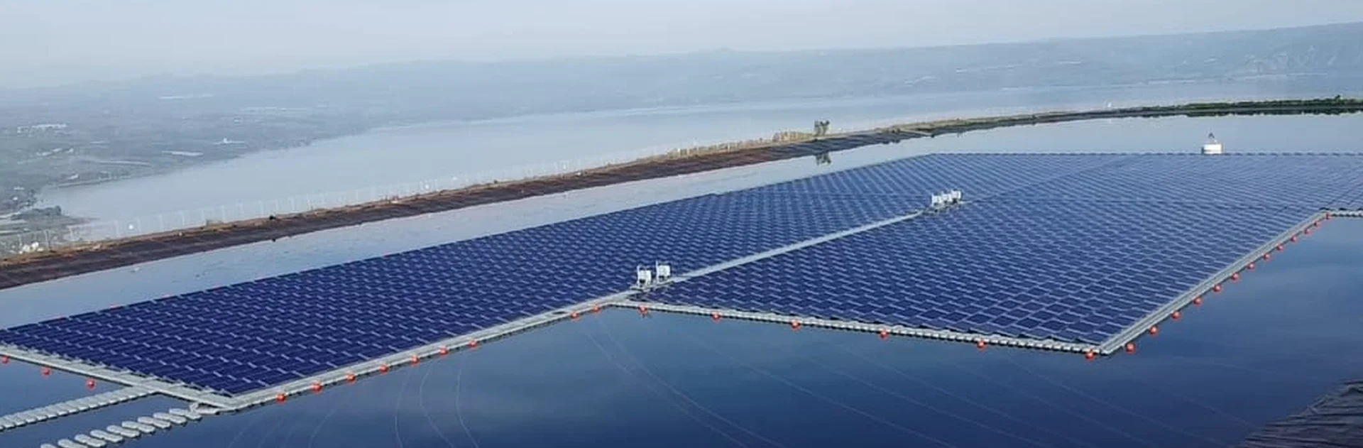 תחומי פעילות